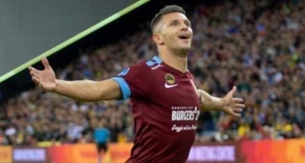 的作用无可 的作用无可