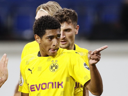 支持主教练 支持主教练